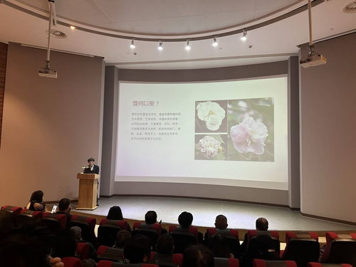 首屆芙蓉文化學術交流活動在蓉城隆重啟幕，共繪文化繁榮新圖景